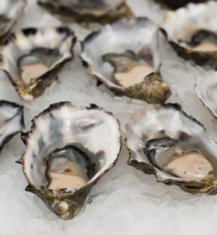 Brunch er en populær spiseoplevelse, der kombinerer det bedste fra morgenmad og frokost