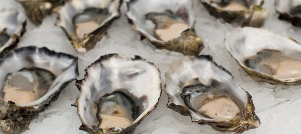 Brunch er en populær spiseoplevelse, der kombinerer det bedste fra morgenmad og frokost